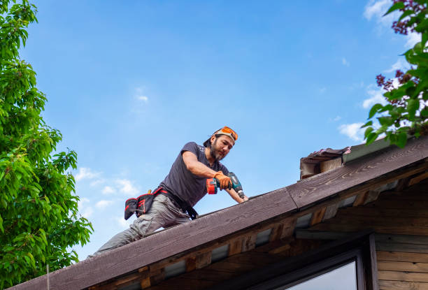 Professional Roofing and repair in Fish Hawk, FL